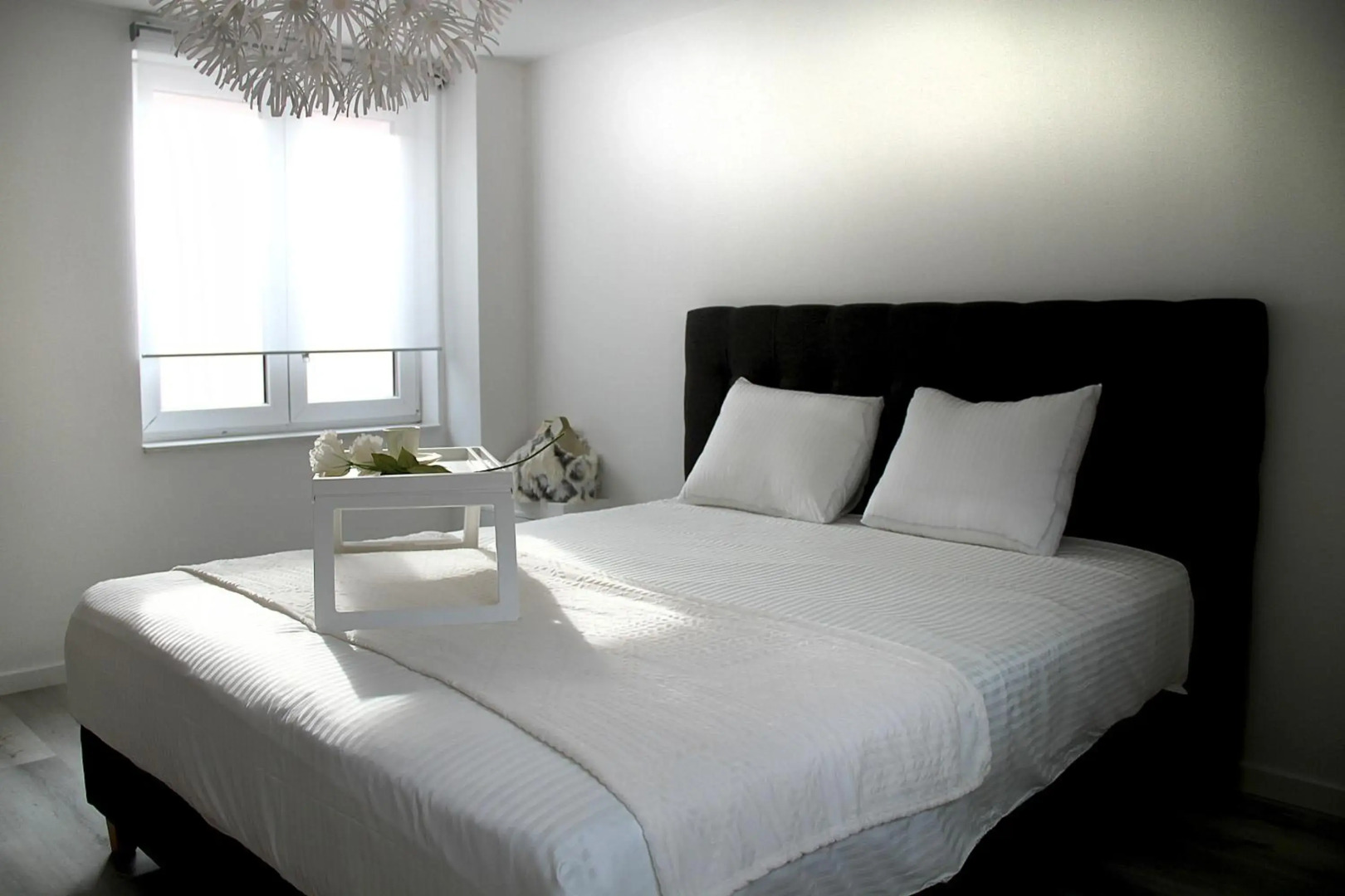 Appartement Blanc cocooning