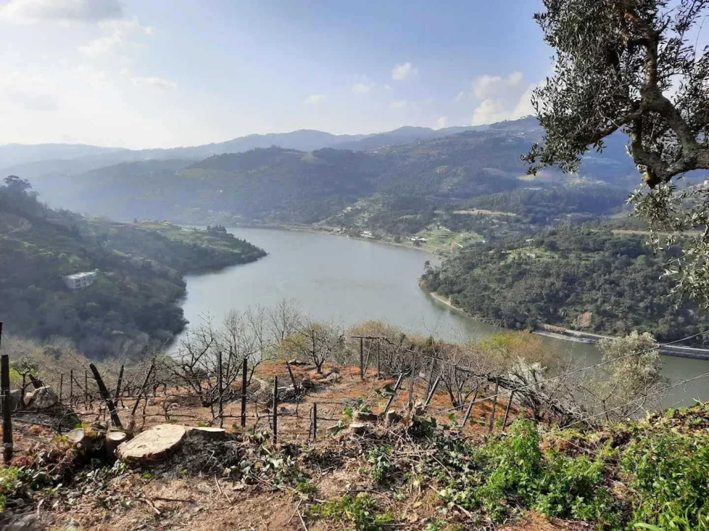 Quinta D'Joanes Douro