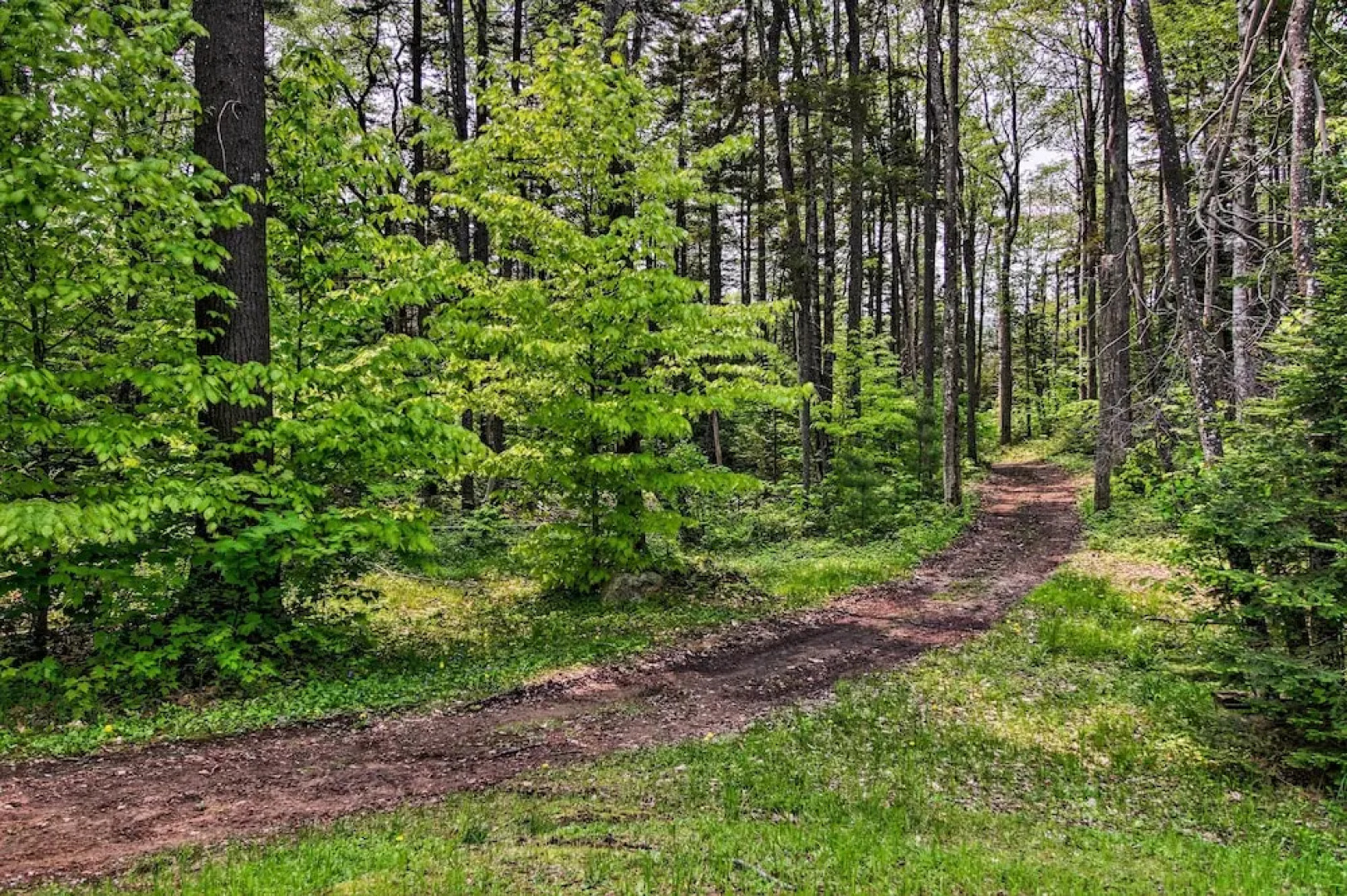 Secluded Home, 7 Mins to Stratton Mountain Resort