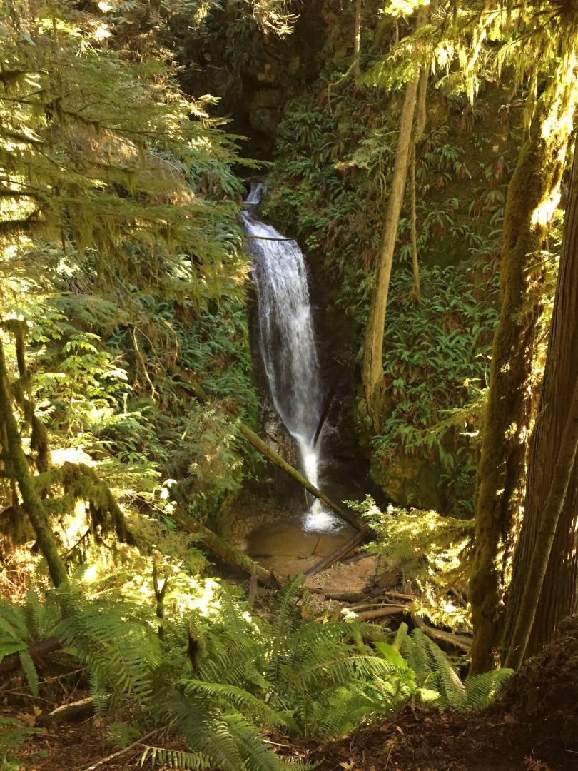 The Tuwanek Hotel and Spa