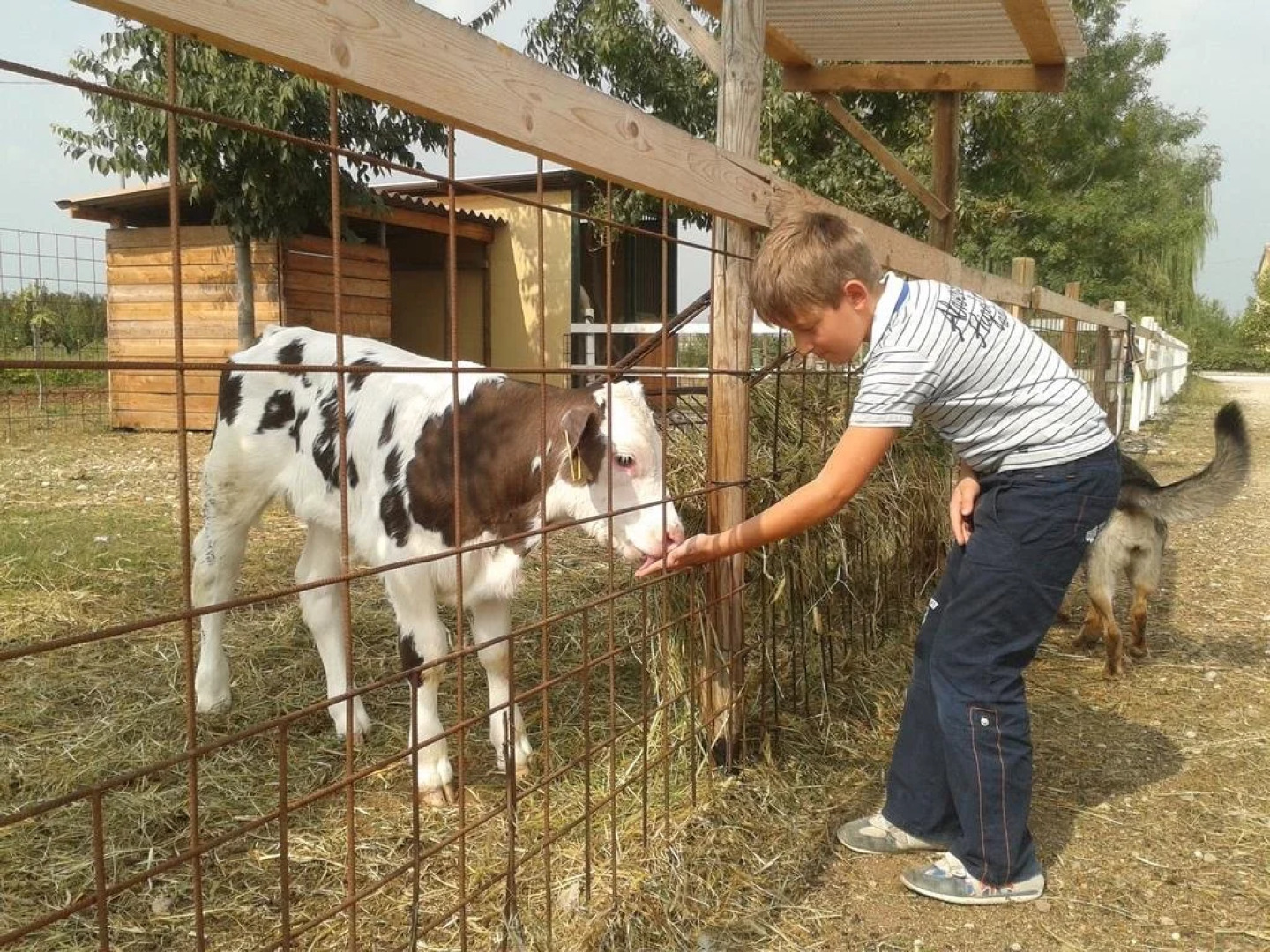 Agriturismo Casa Maria Teresa