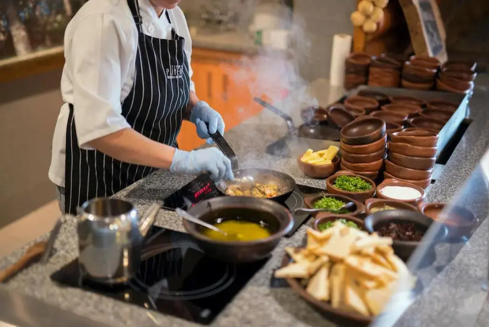 Termas Puyehue Wellness & Spa Resort