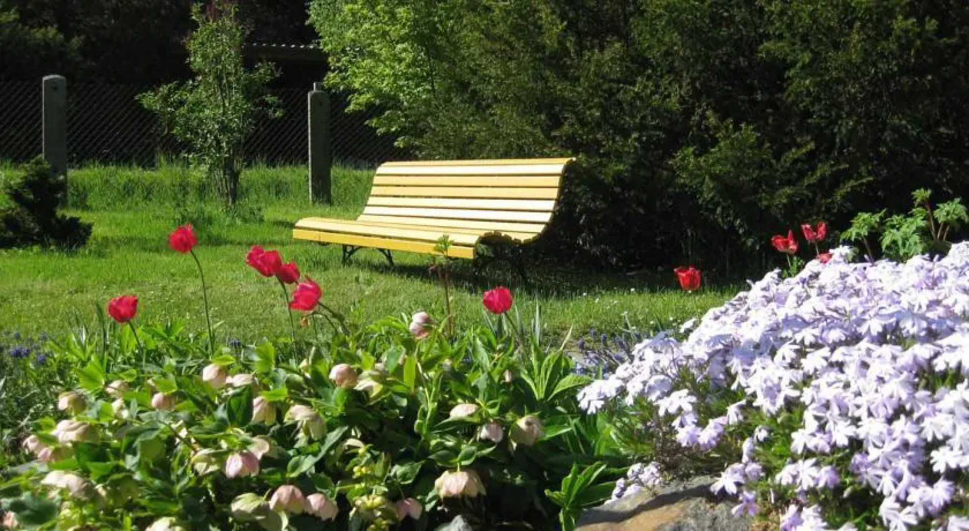 Ferienhaus Sperlingsruh