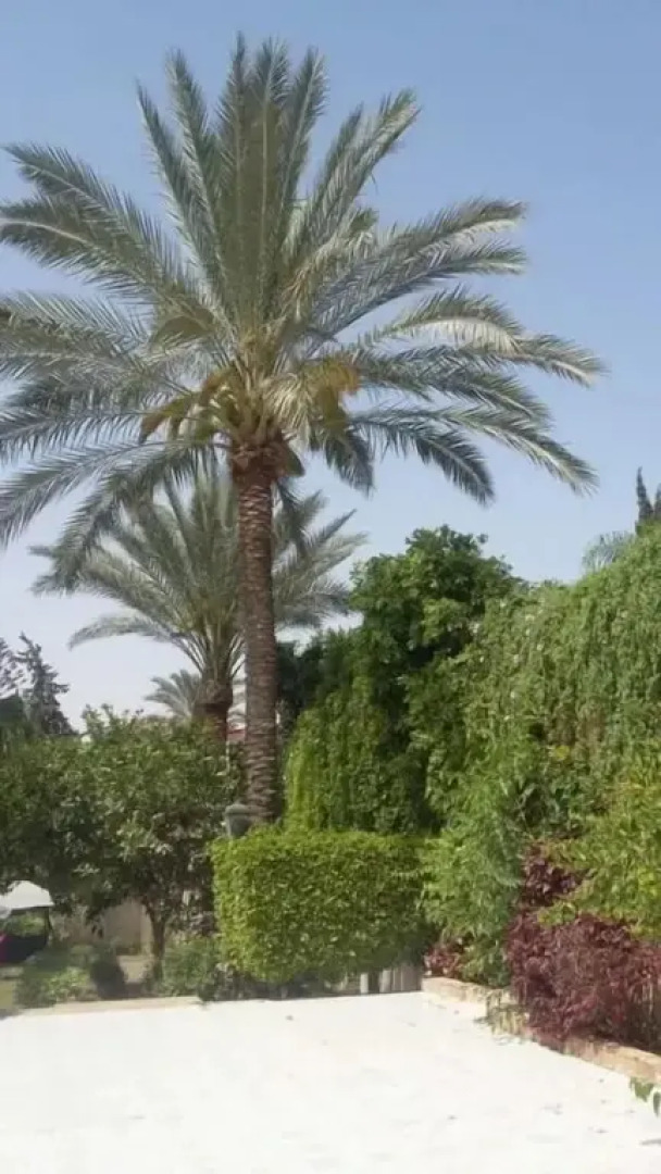 Villa Dr. Atef Darwish