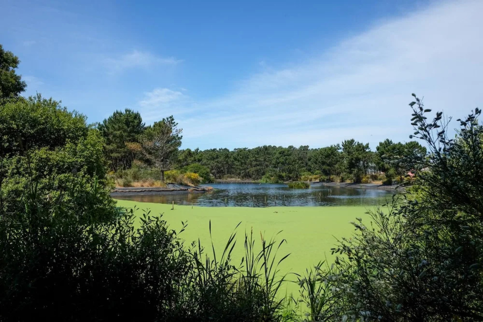 Esmoriz Land Sea View Apartment by MP