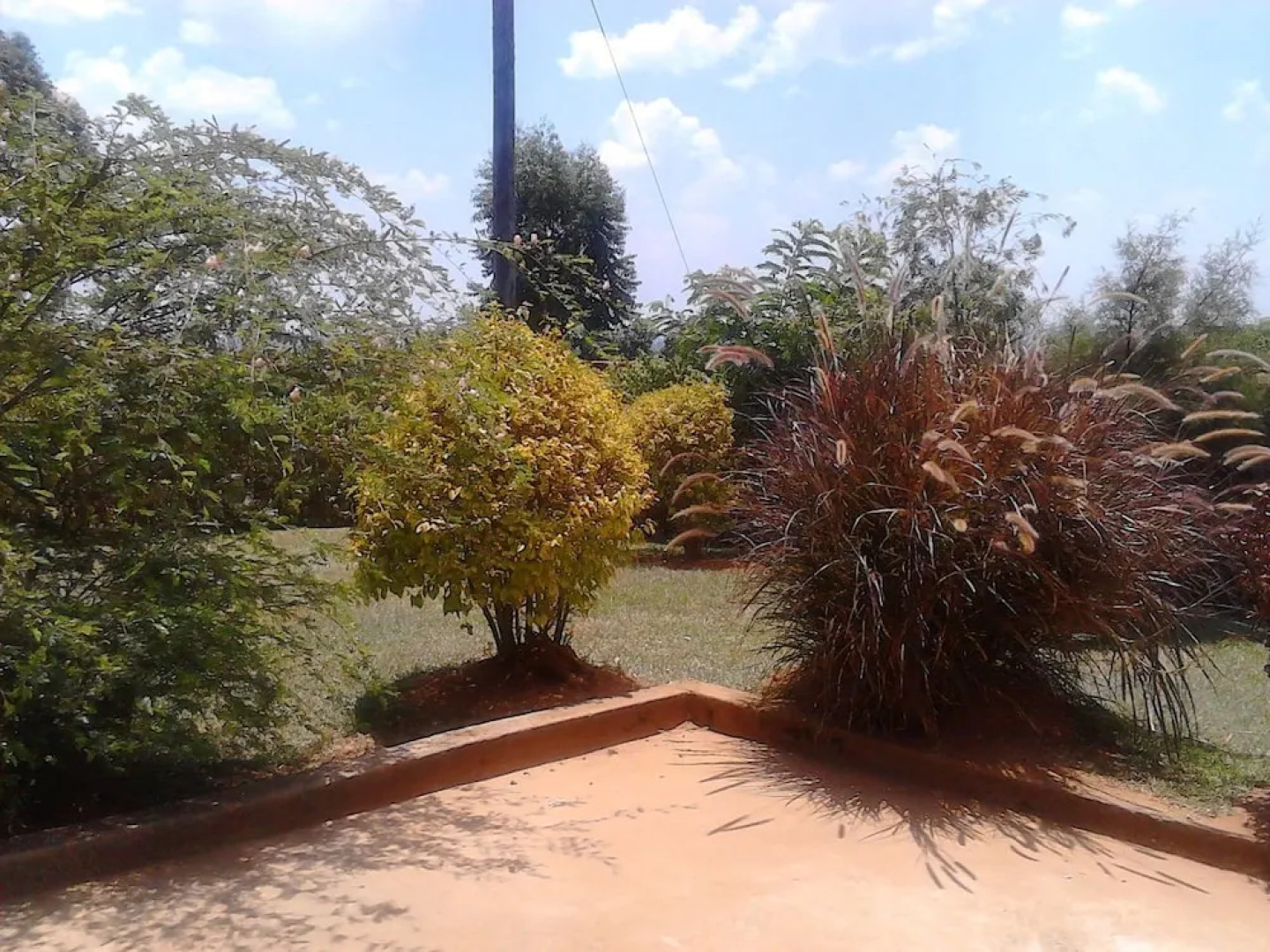 Rena Akasha Establishments