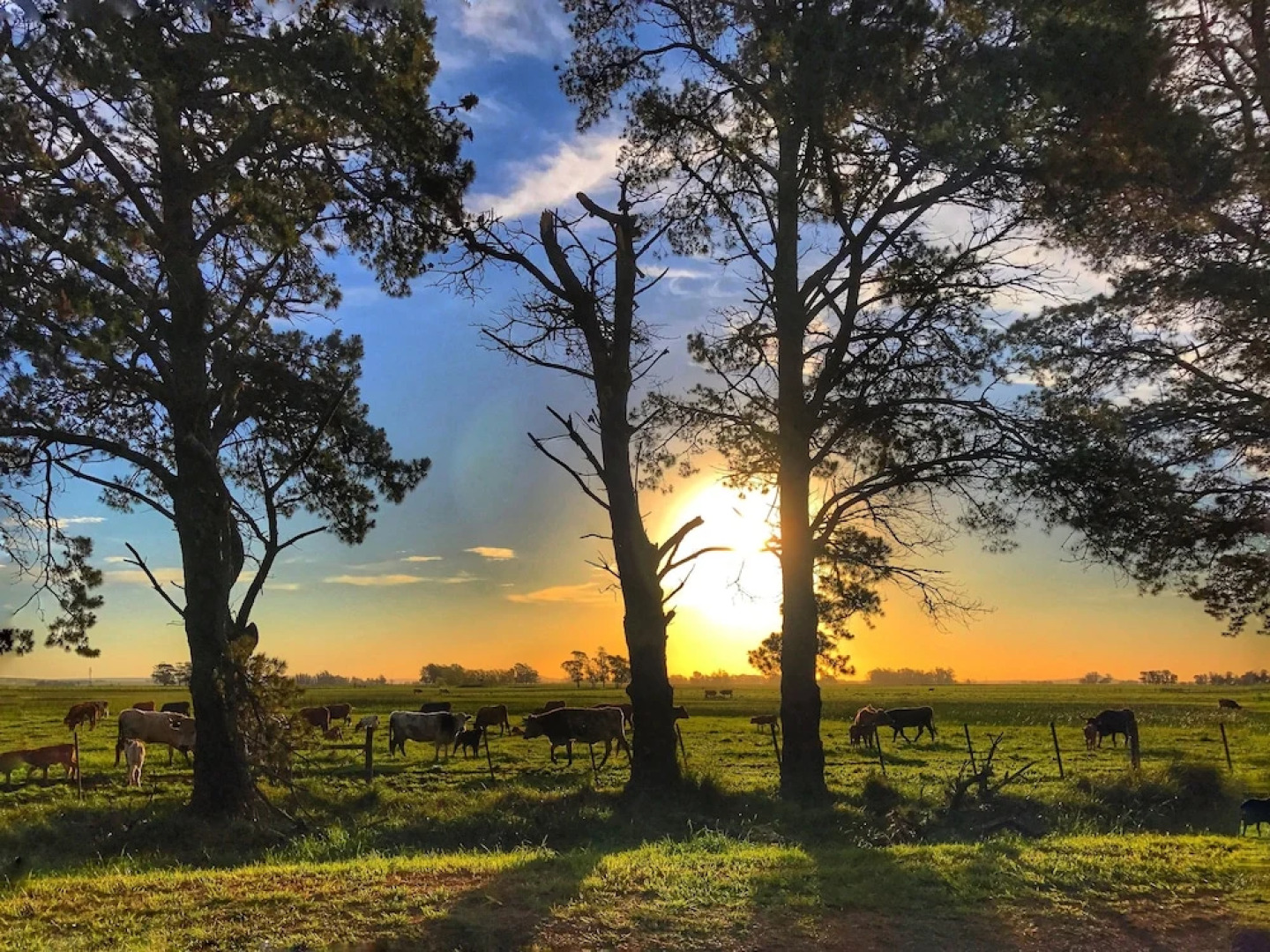 Estancia Fangio Balcarce by Esplendor Hoteles Boutique