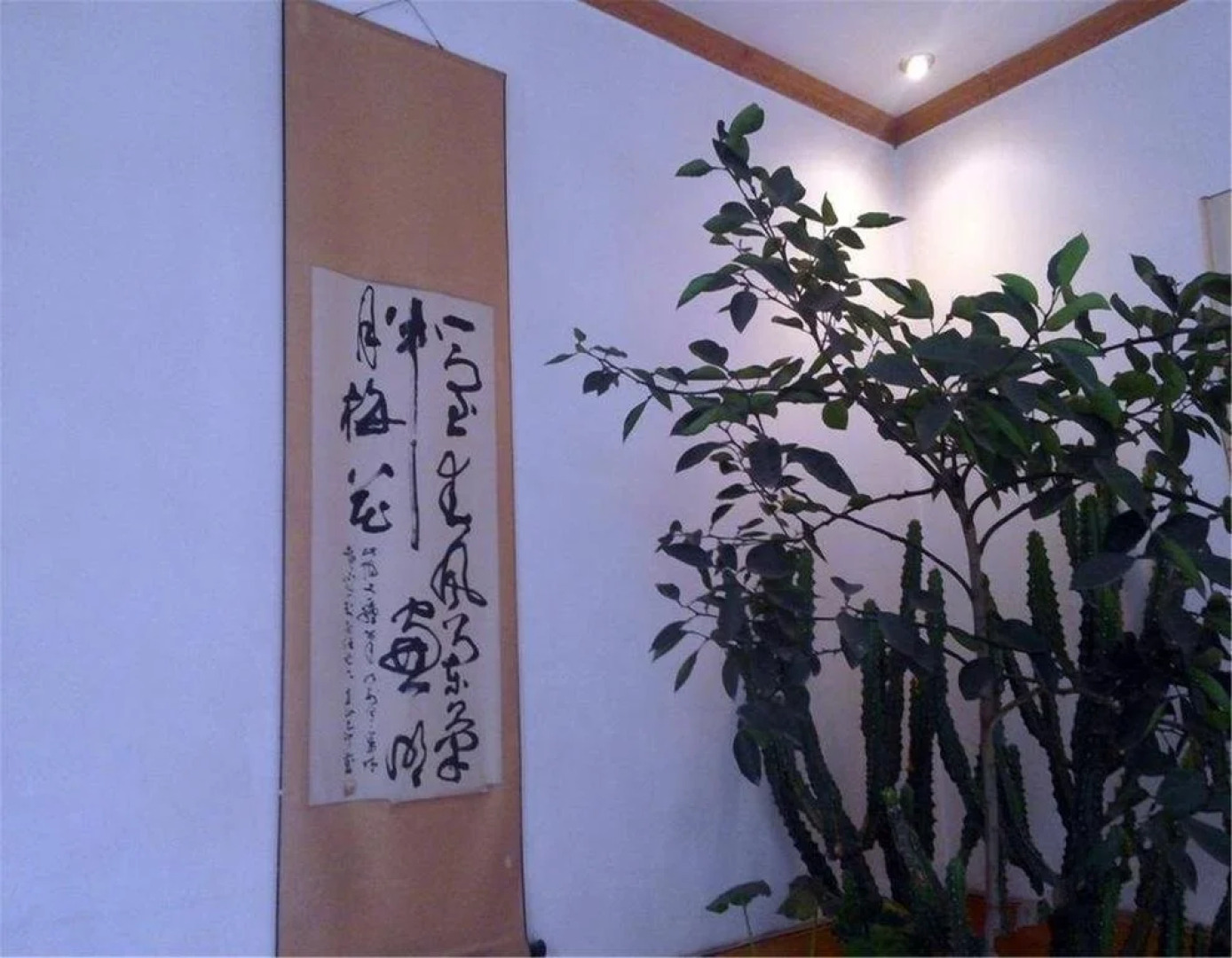 Hongxing Inn