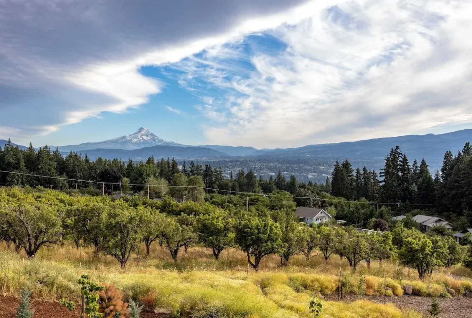 Zen View 2 Bedroom Home by Redawning