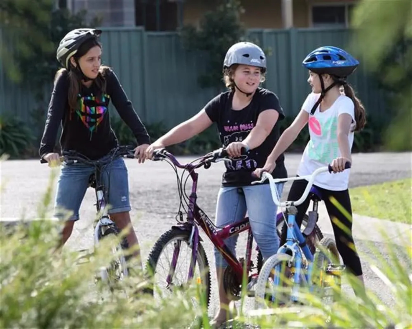 Holiday Haven Swan Lake