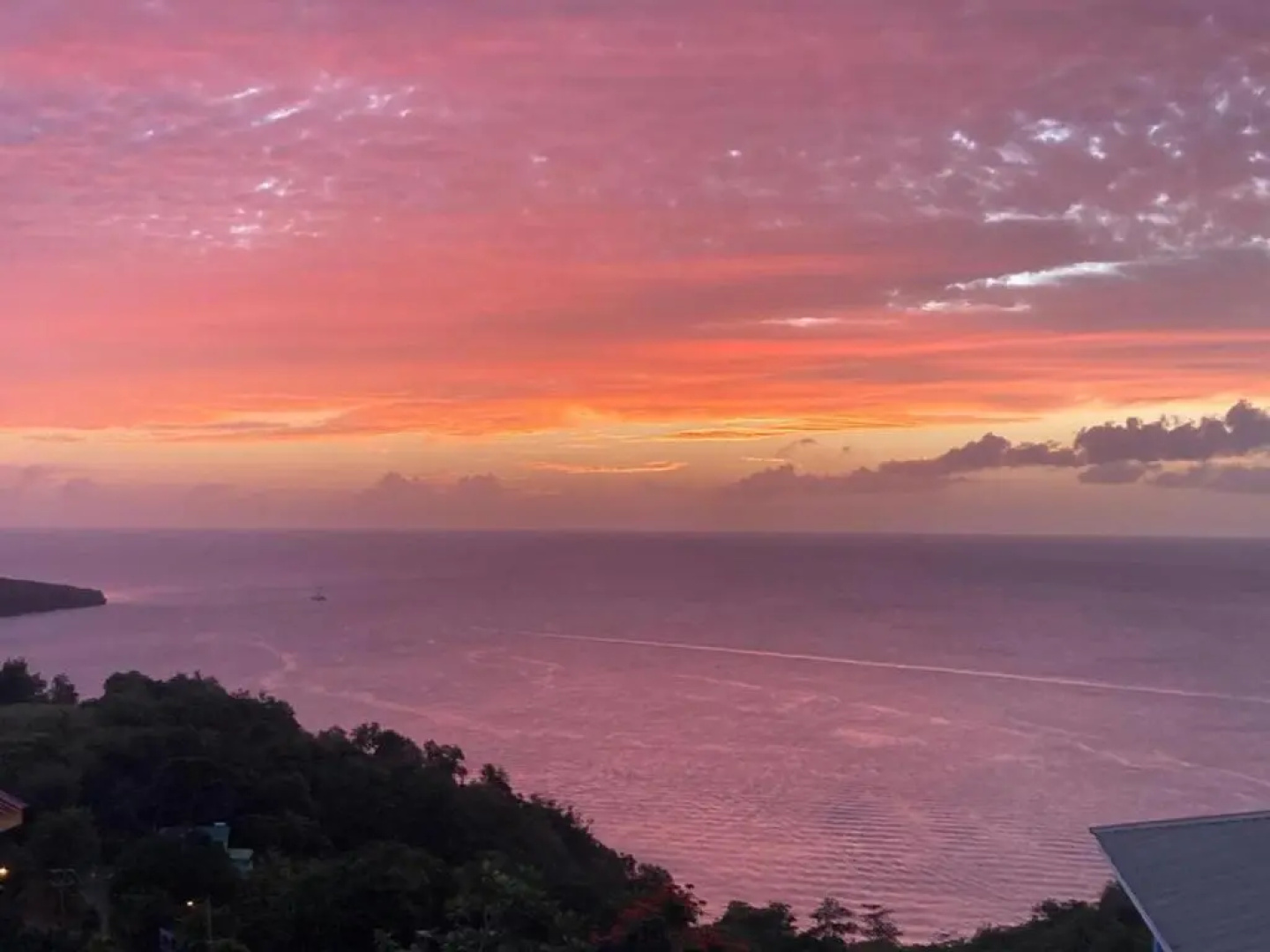 Best View Apartments