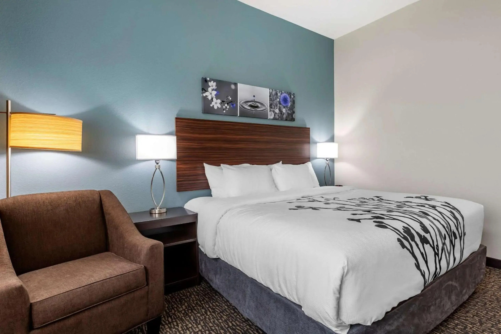 Sleep Inn Waukee-West Des Moines