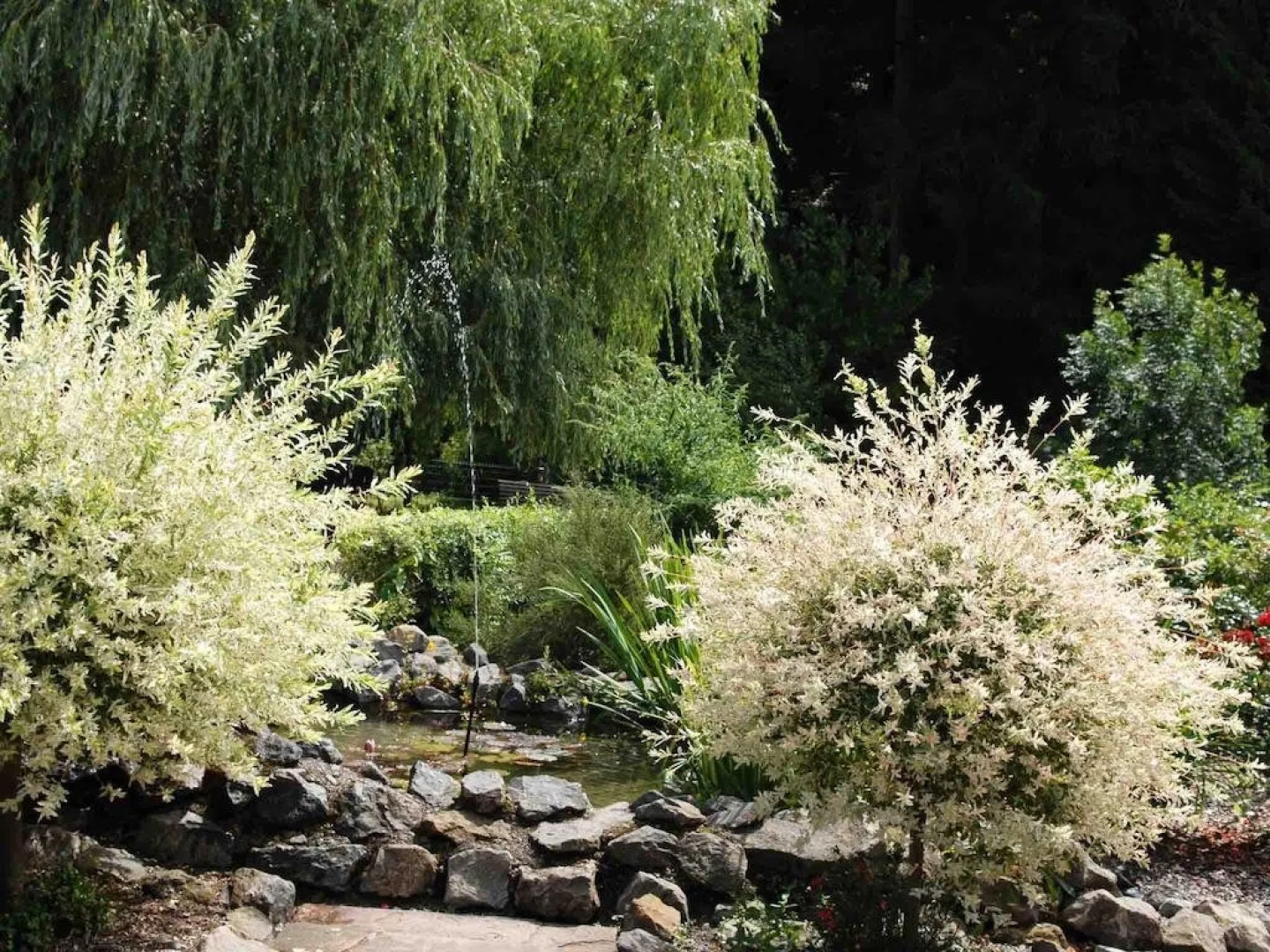 Hotel Weinschänke Rohdental