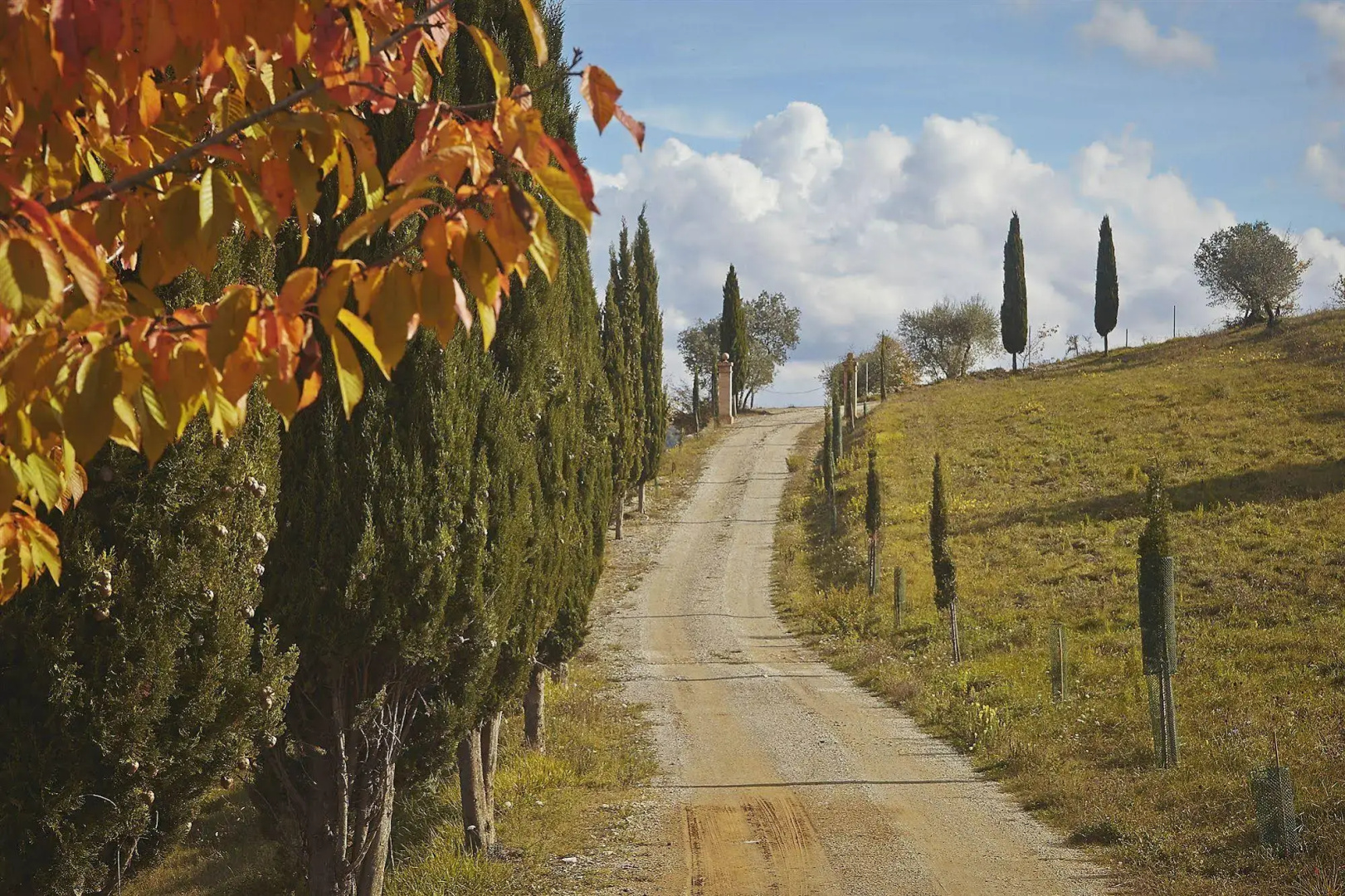 Fattoria Poggio al Sorbo