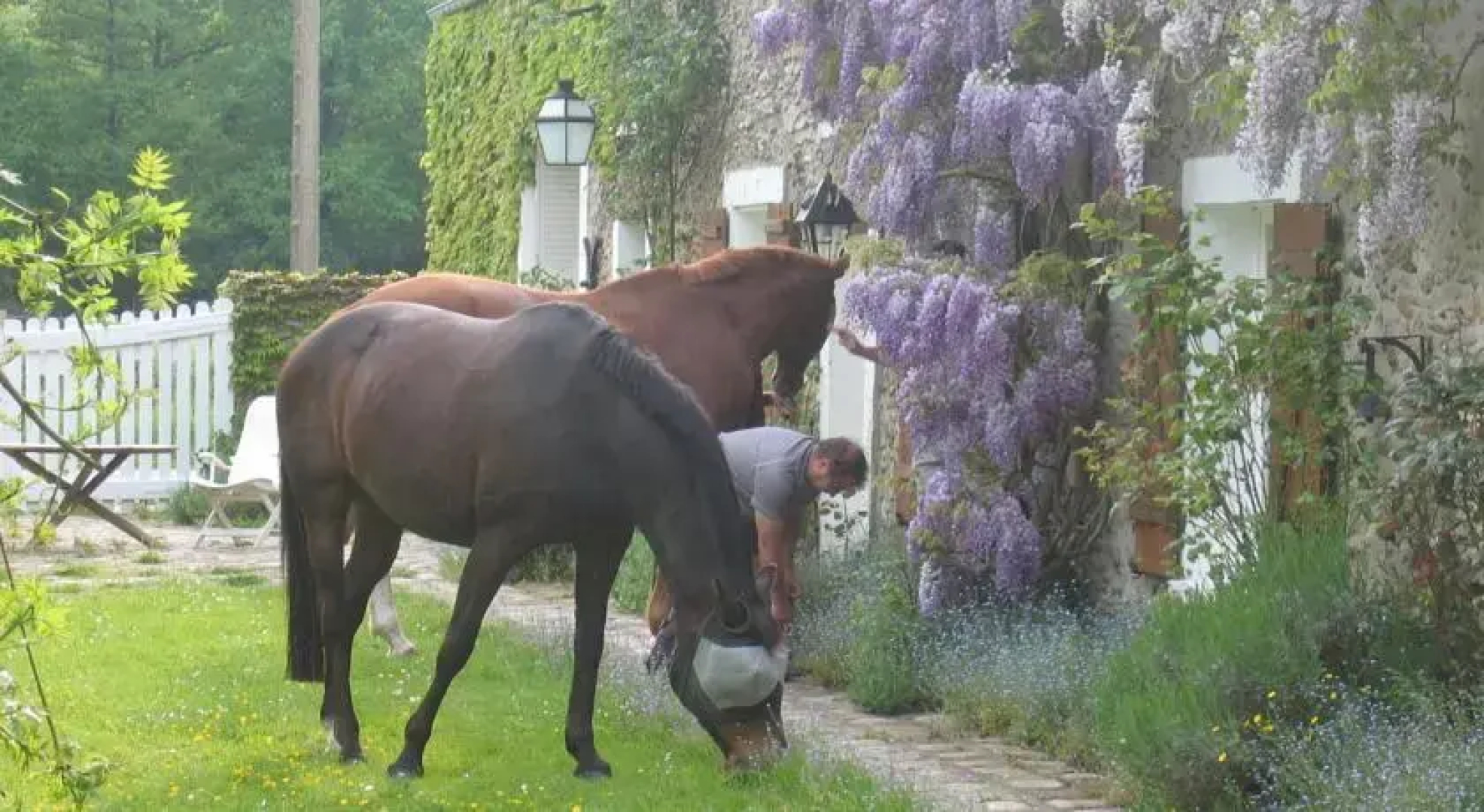 Domaine des Basses Masures