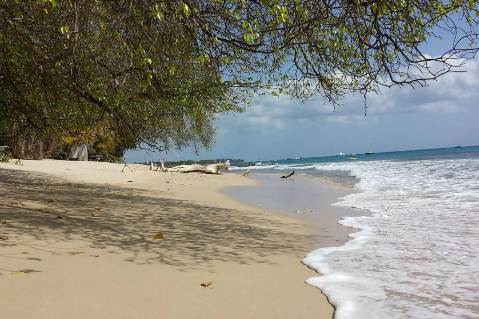 Seaberry Tropical Villa