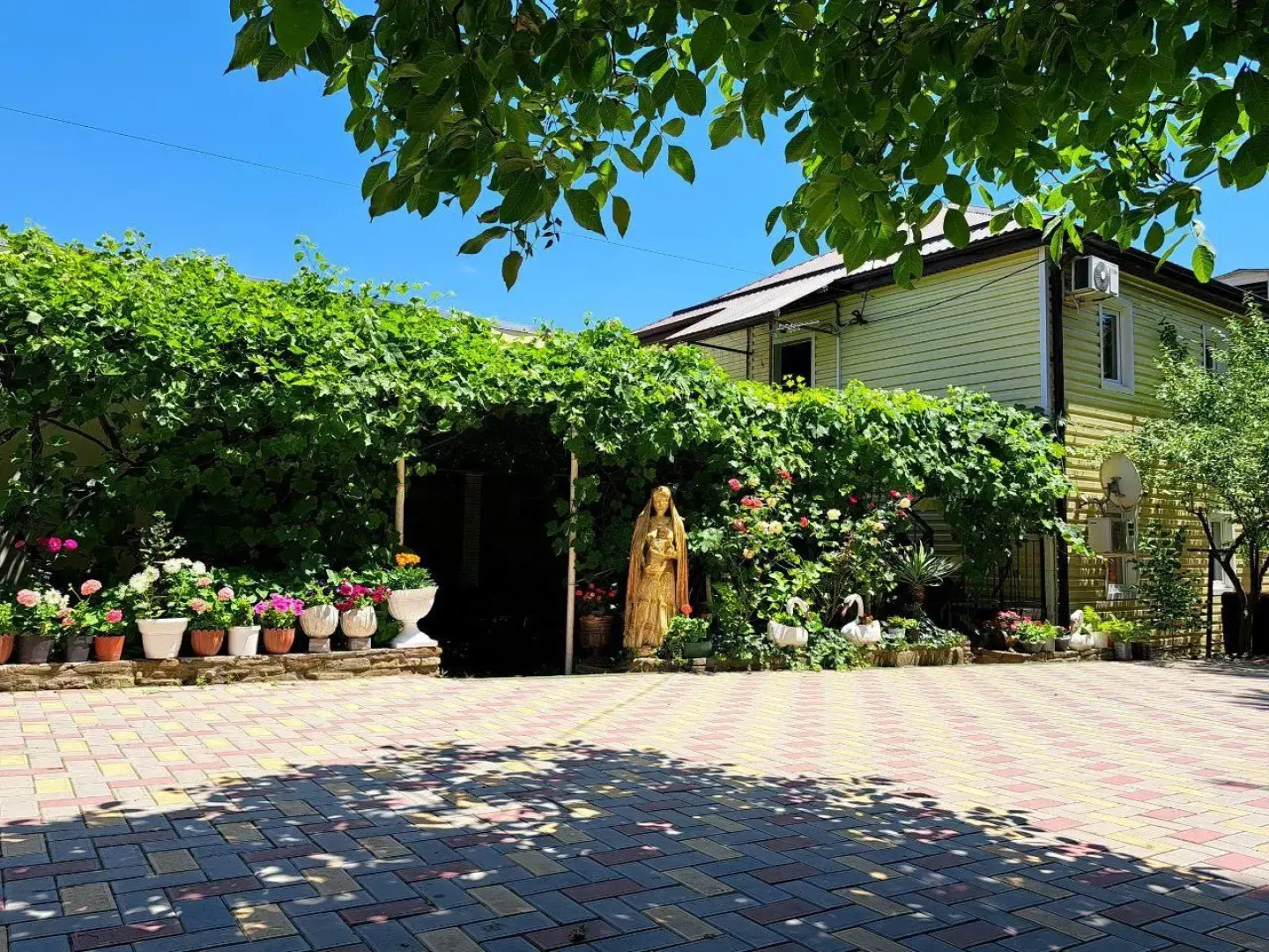 Черноморская лоза