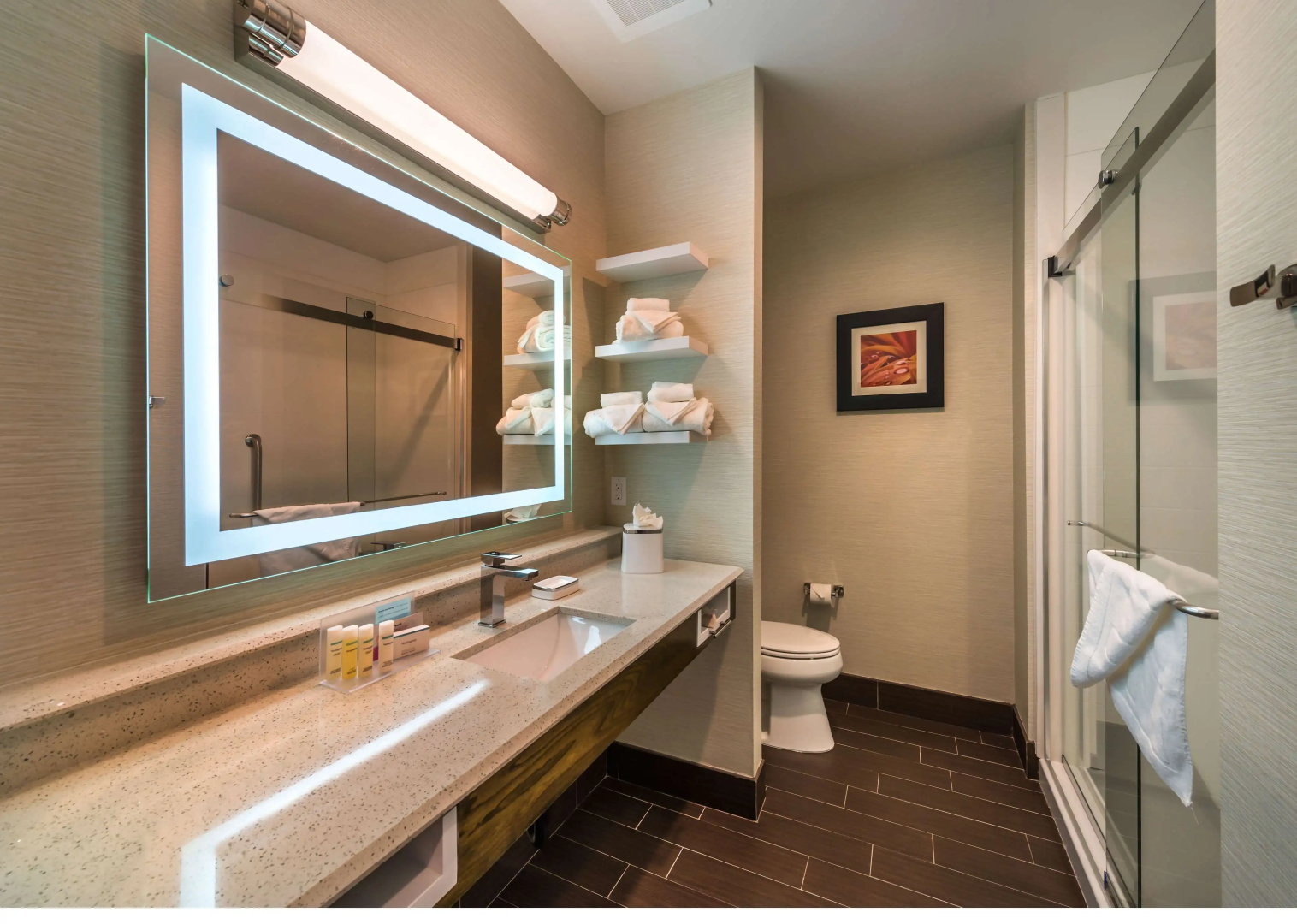 Hampton Inn & Suites Reno West