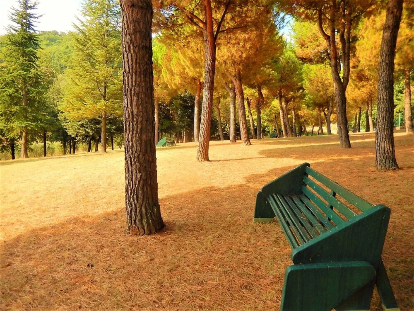 Villa Strada Comunale di Monte Giove