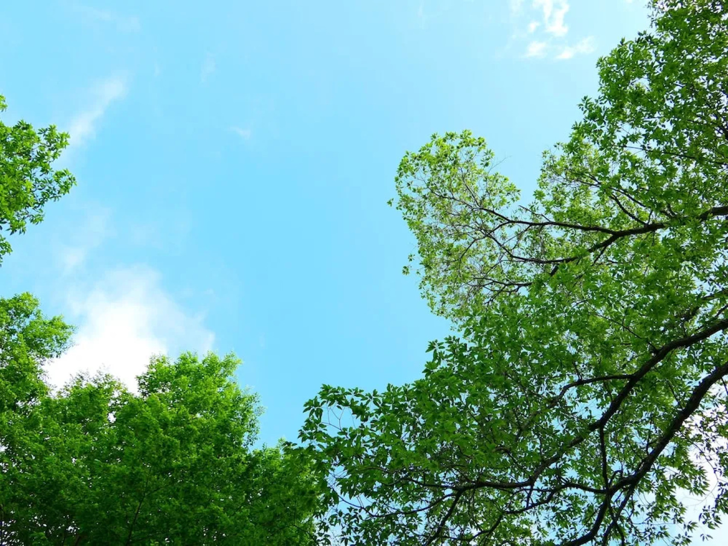 Risumura Holiday House