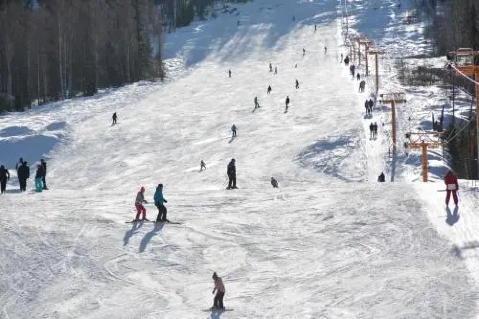 Green House at Teletskoye Lake