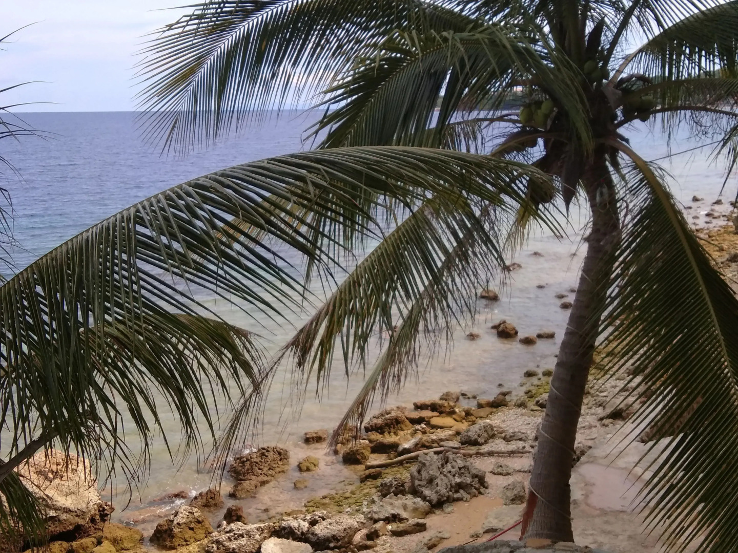 La Bella Beach House Cebu