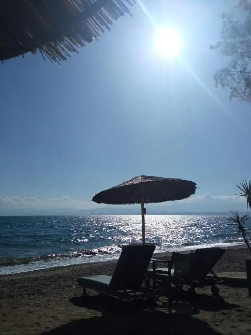 Vivian’s apartment