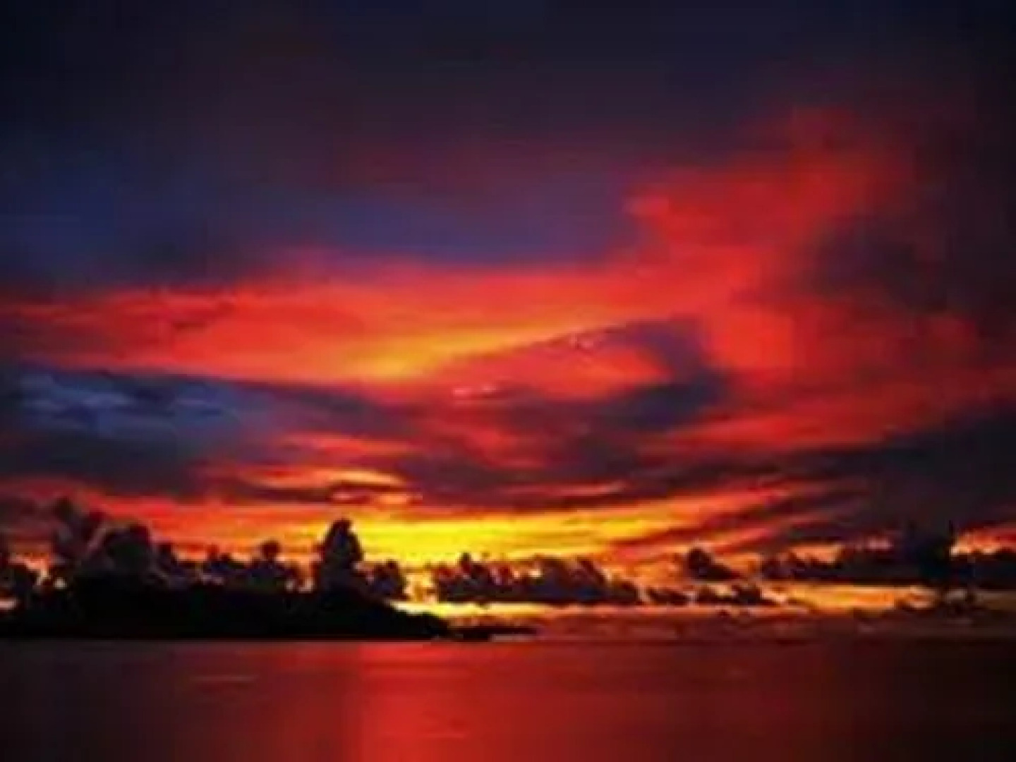 West Plaza Coral Reef