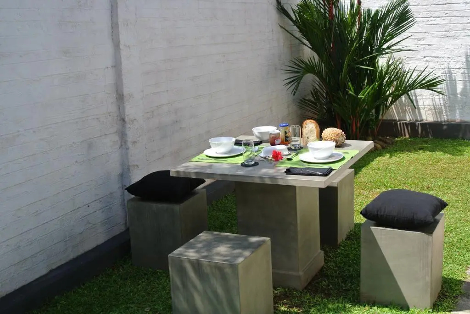 "27" Spathodea- Oasis in the City