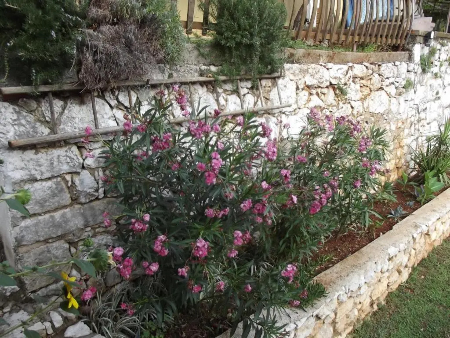 Apartments Vinetilia