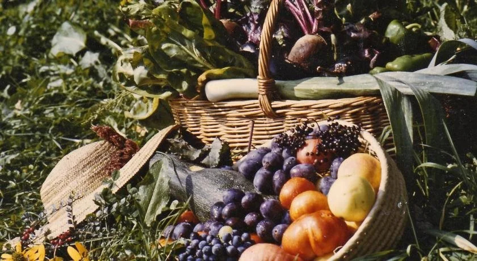 Landhaus Waldfrieden