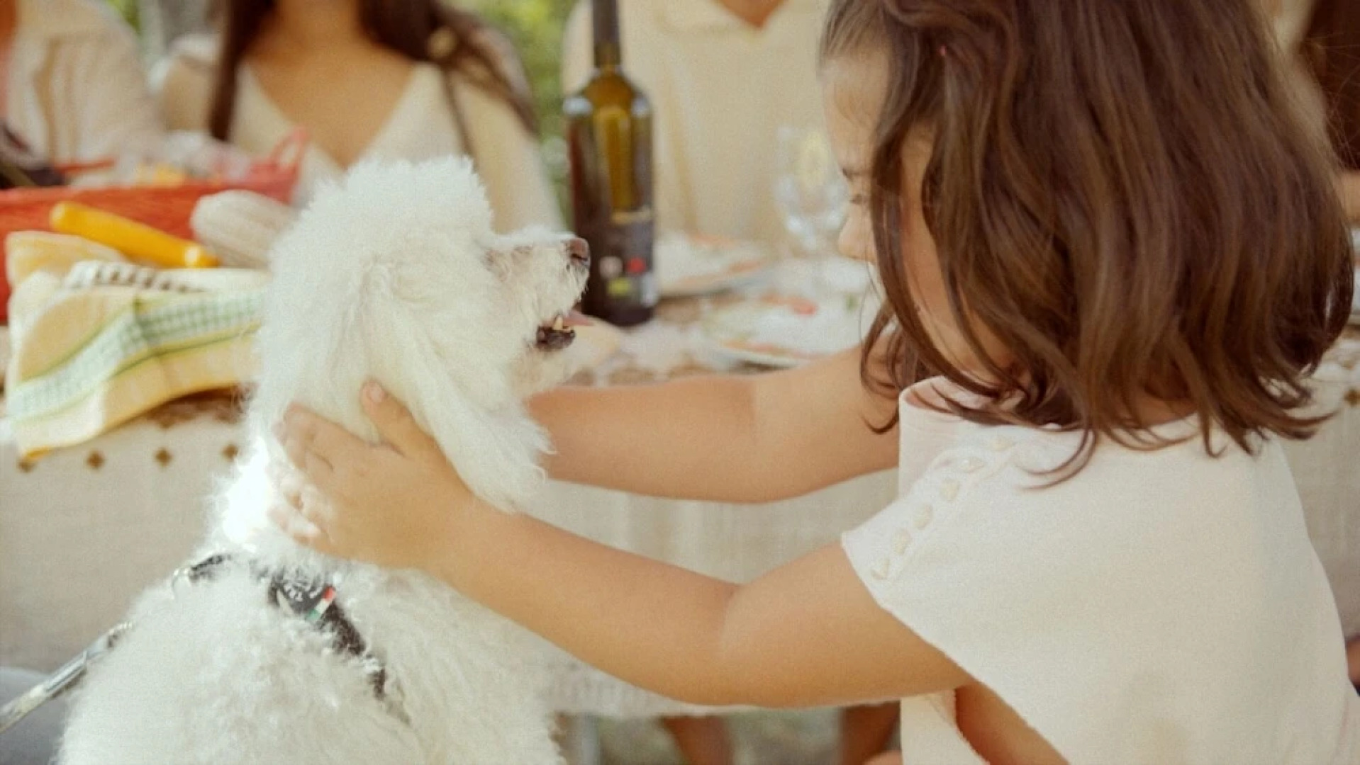 Agriturismo L'Olmo di Casigliano
