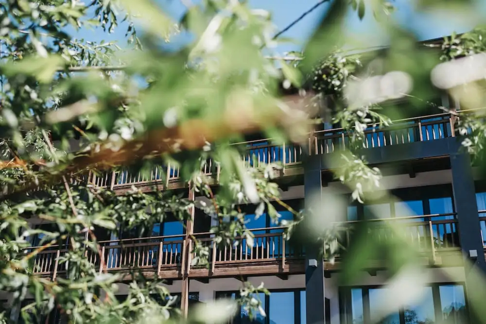 Hotel Chesa Monte