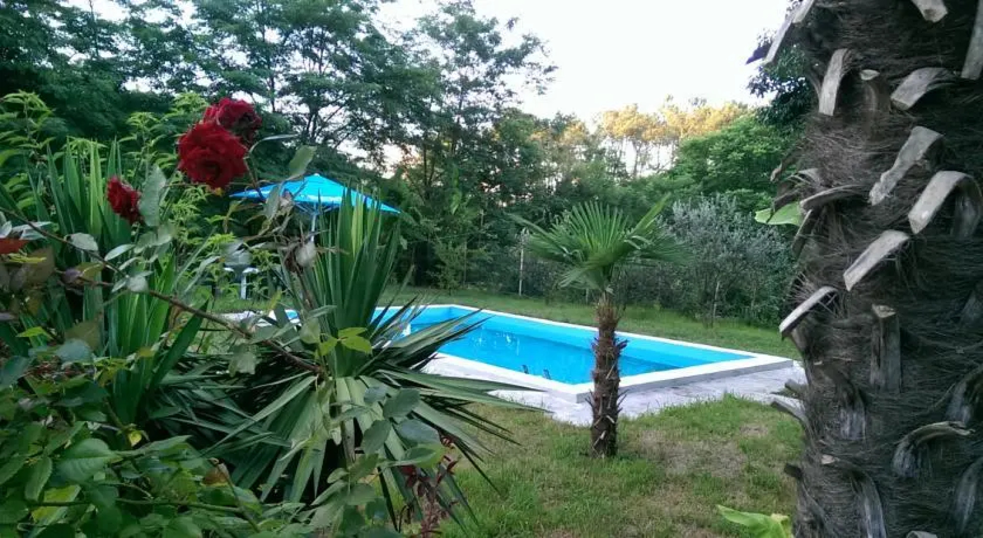 Black Sea House Hotel