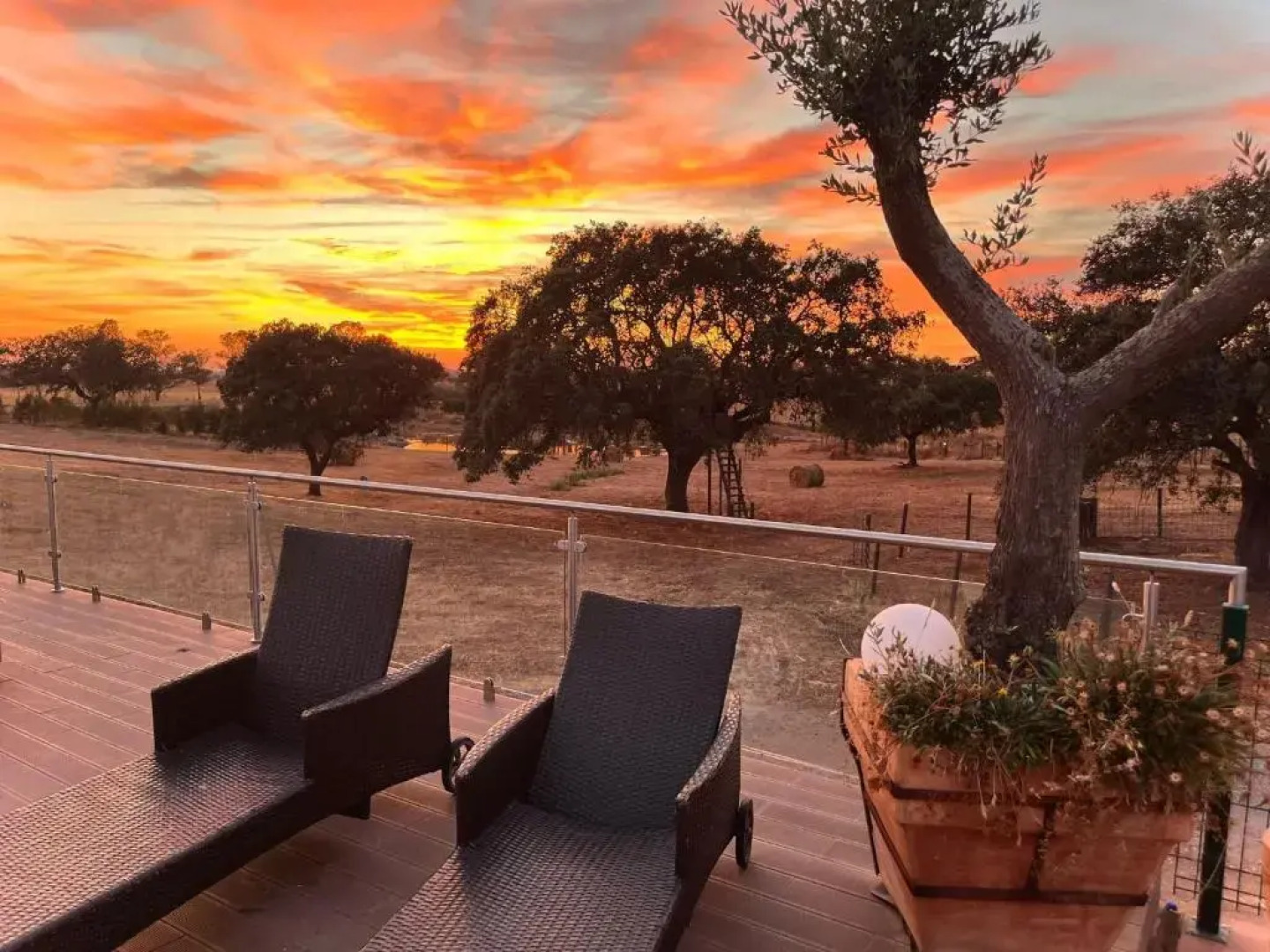 Agro-Turismo Monte da Galega