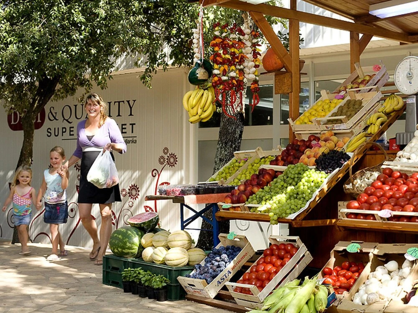 Camping Lanterna Tar