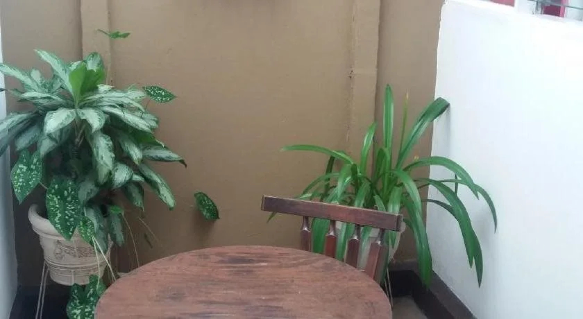Gaudys Backpackers - Hostel