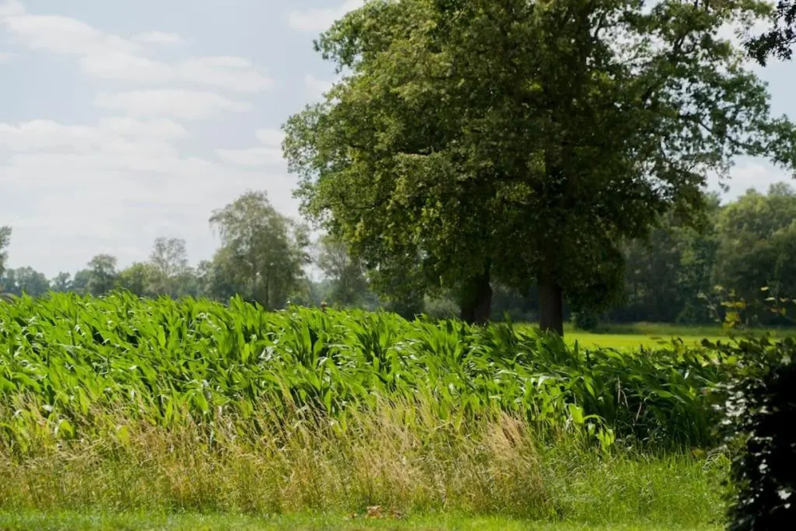 Pothuus 2 persoons vrijstaand huis met vrij uitzicht in de Achterhoek