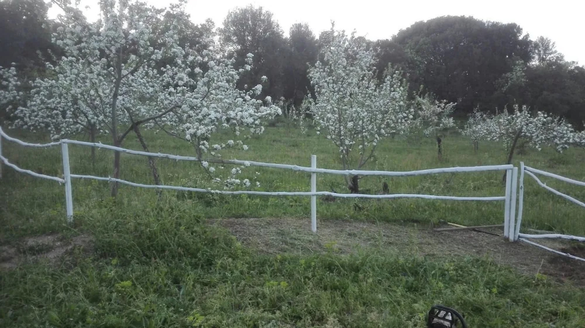 Affittacamere Paradiso