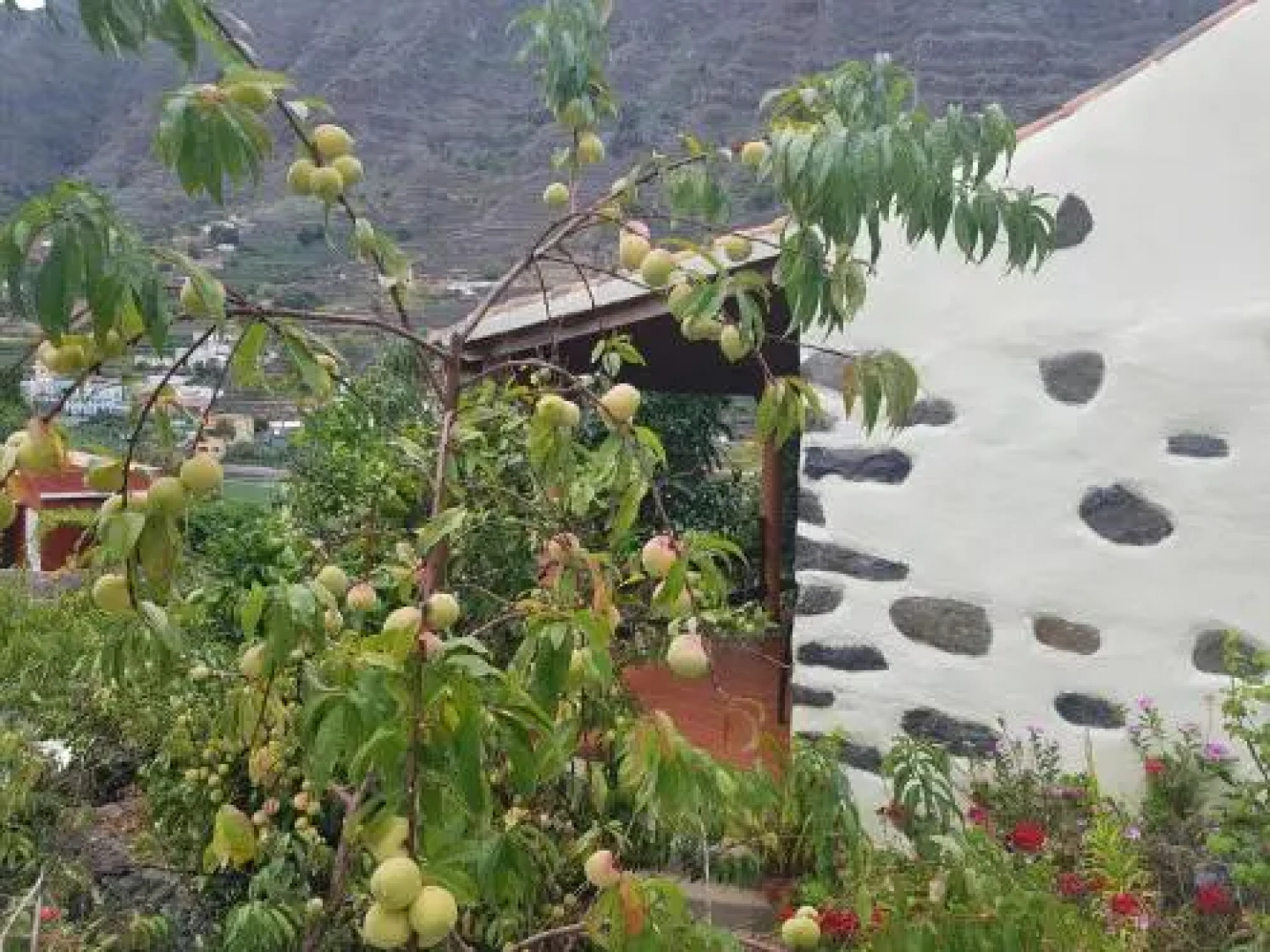 Casa Rural Nuevitas I