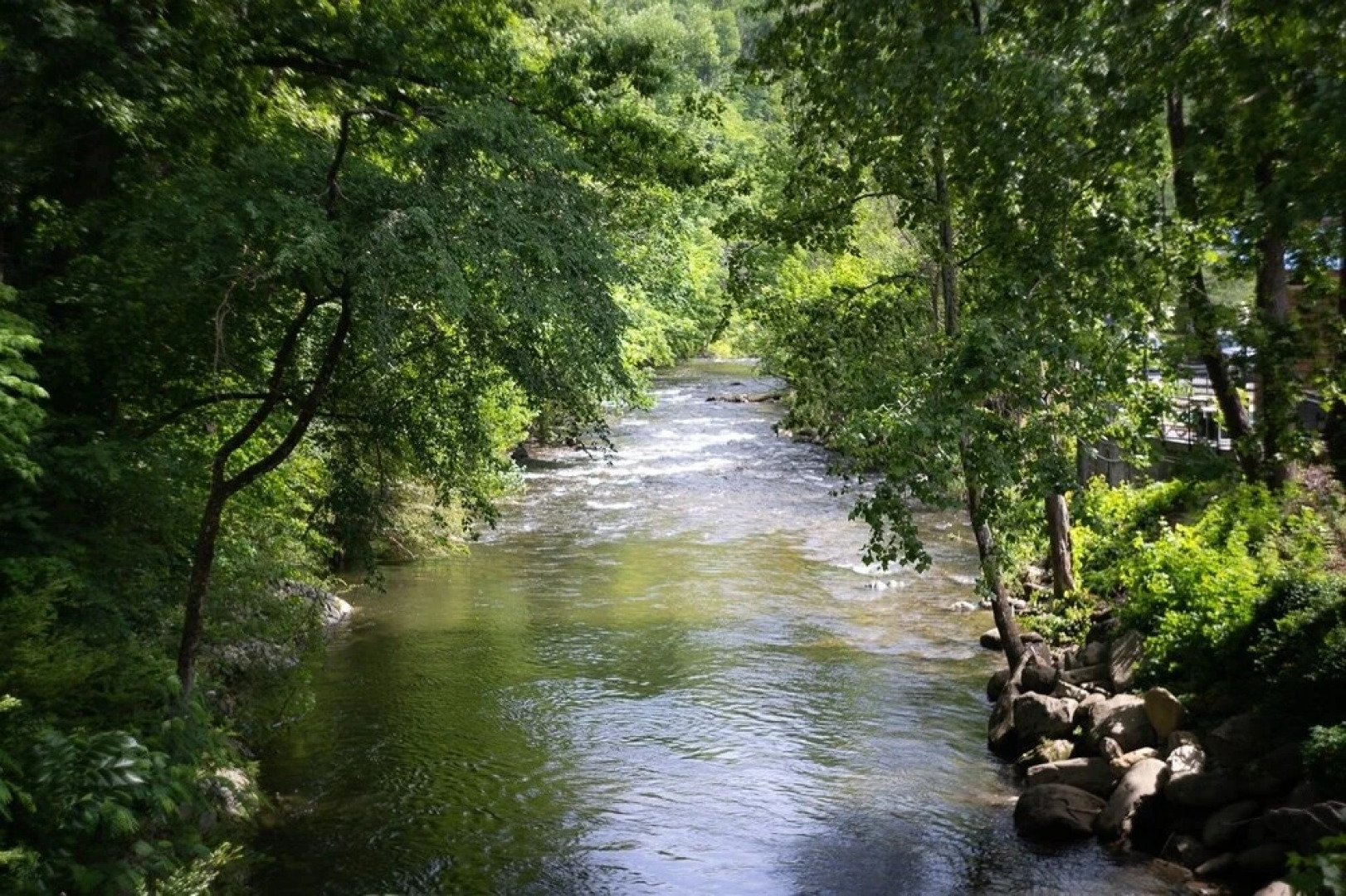 River Cottage 3 Bedroom Home by Redawning