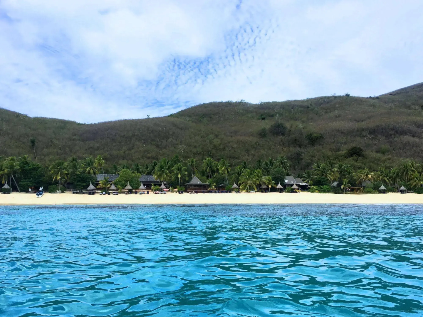 Octopus Resort