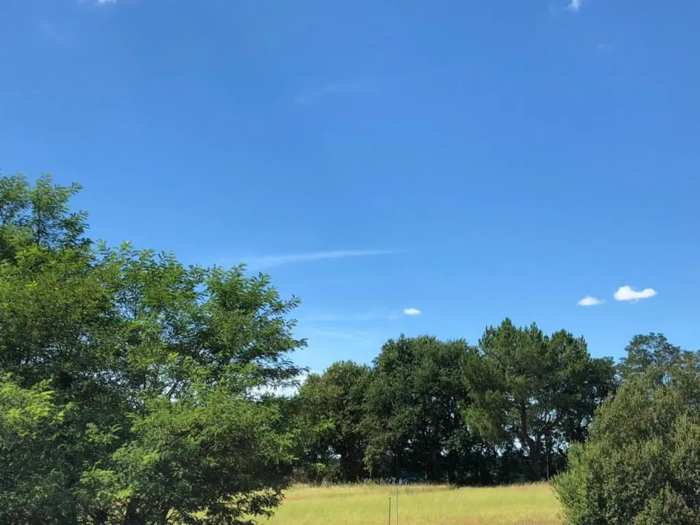 Hotel du Lac d'Arjuzanx