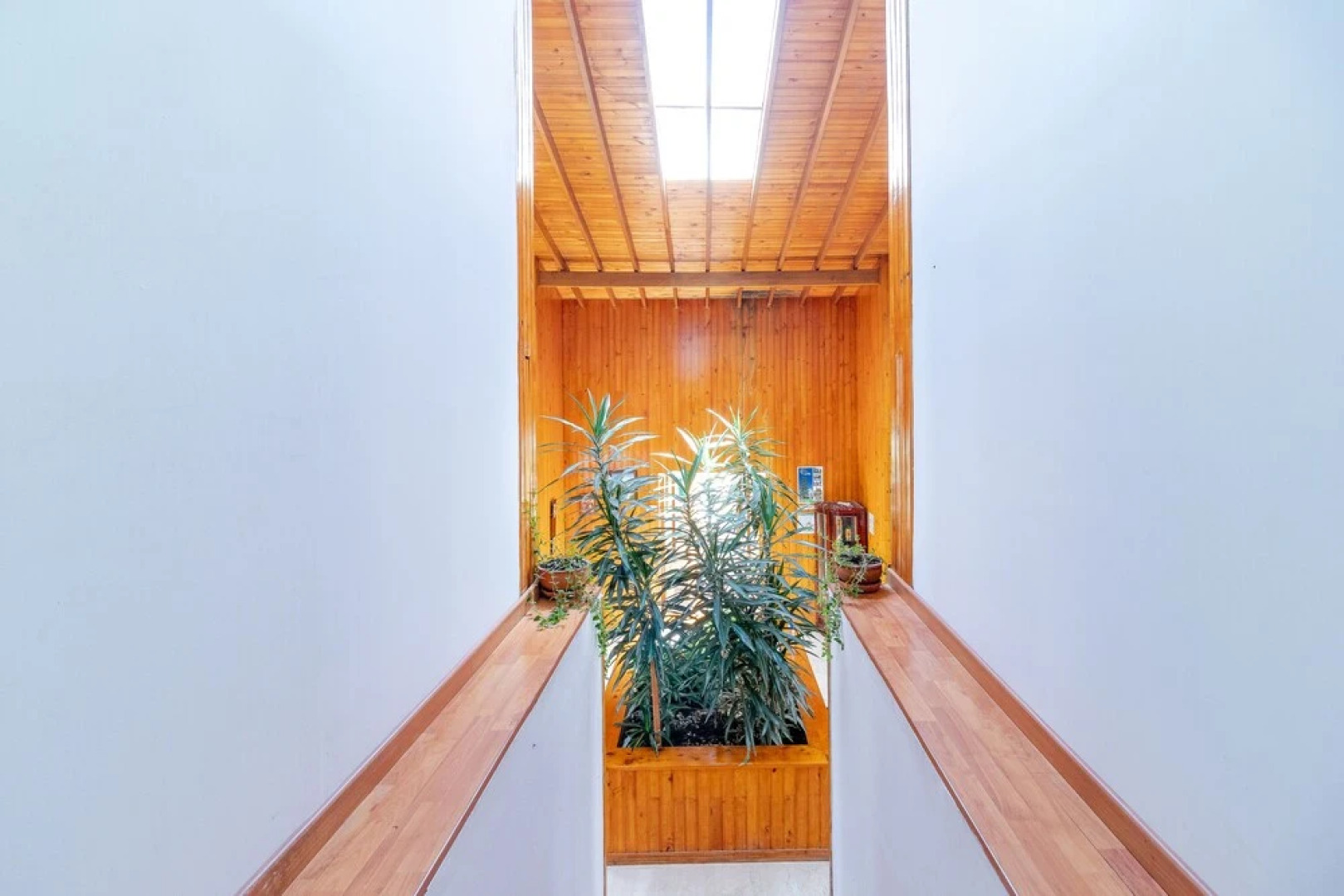 Gran Boutique Sabana