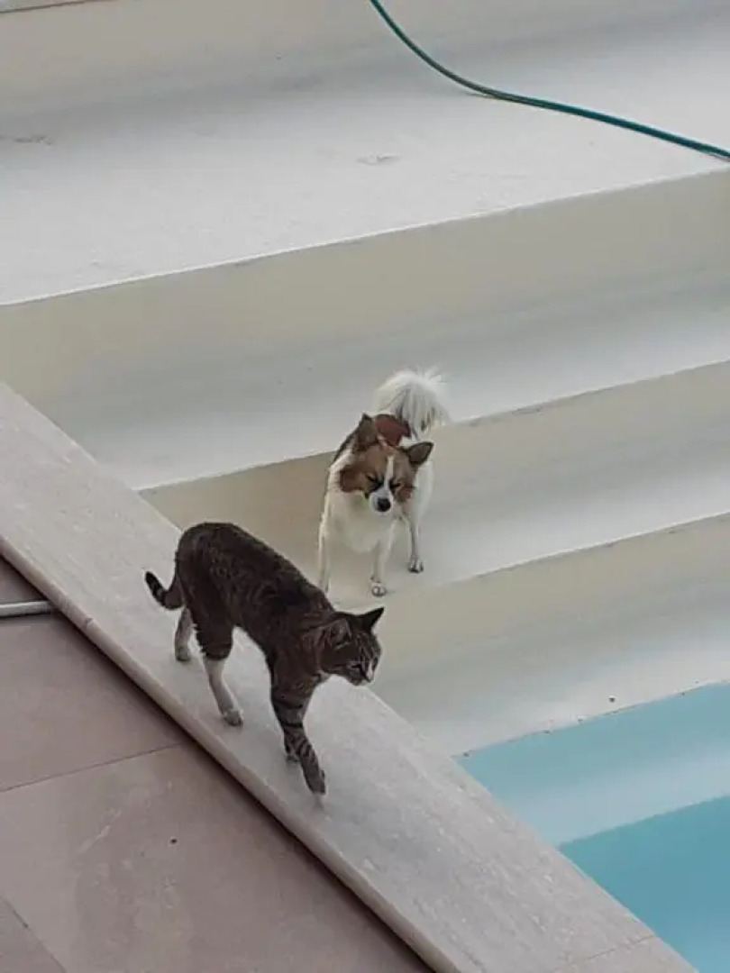 Apartment Di Luna e Di Sole