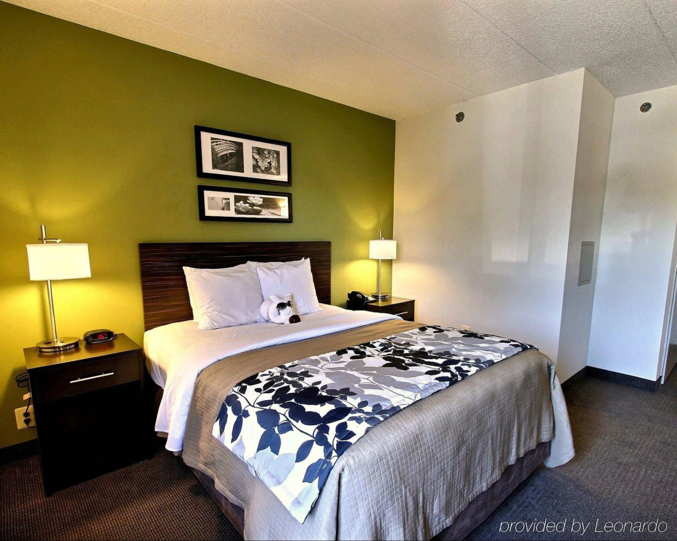 Wingate by Wyndham Salisbury