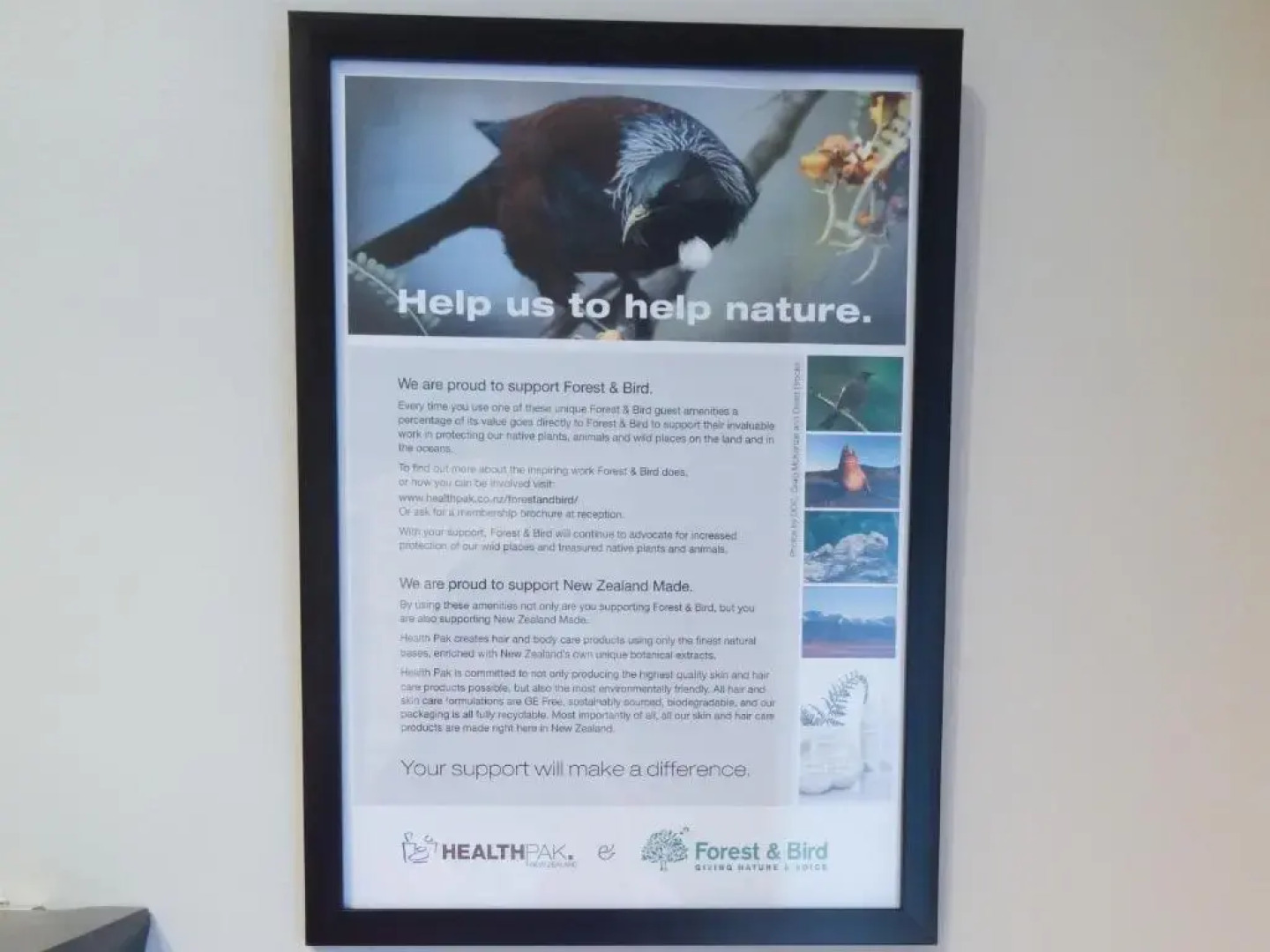 The Sunny Side Up B&B