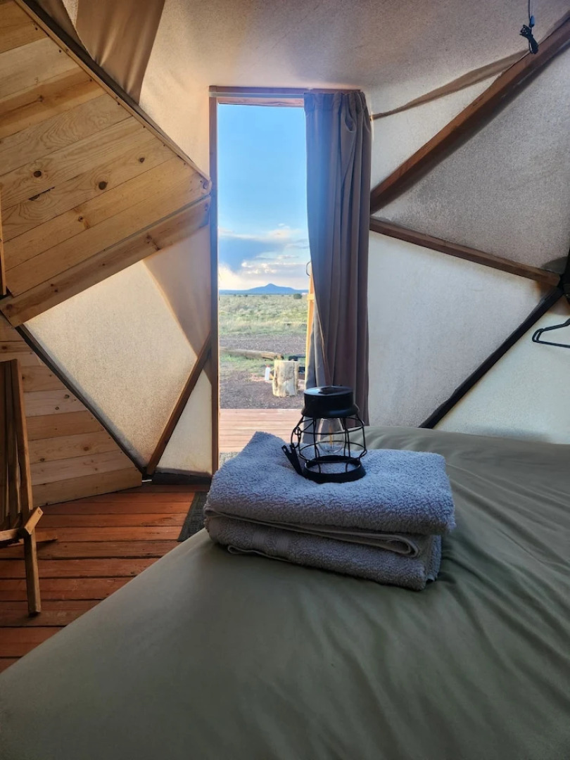 Raptor Ranch Little Owl 1