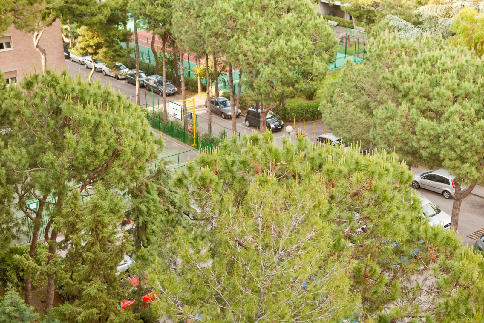 Rooms Rent Vesuvio B&B