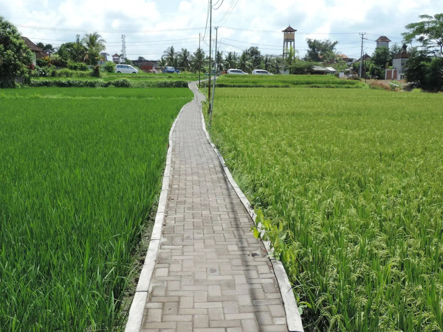 Nick's Hidden Cottages